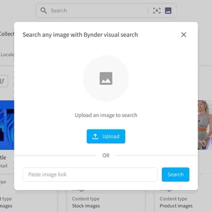 Use images instead of words to search by dropping a URL or reference picture.