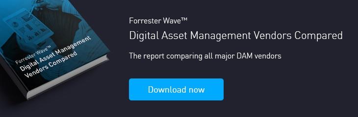 Forrester Wave Report: digital asset management compared