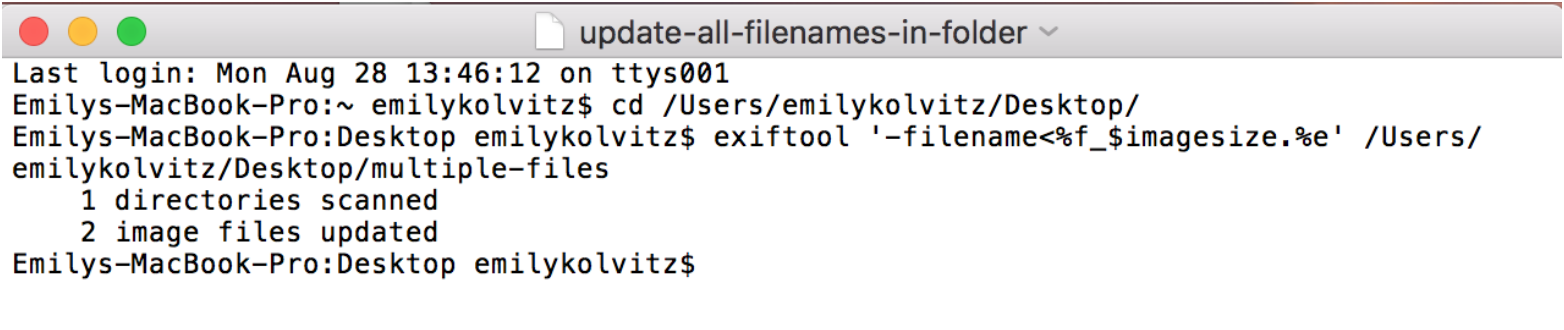 embedded-metadata-6.png