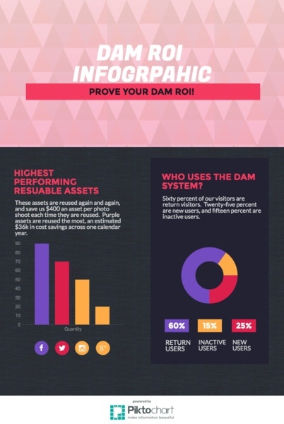 DAM-Infographic-ROI.jpg