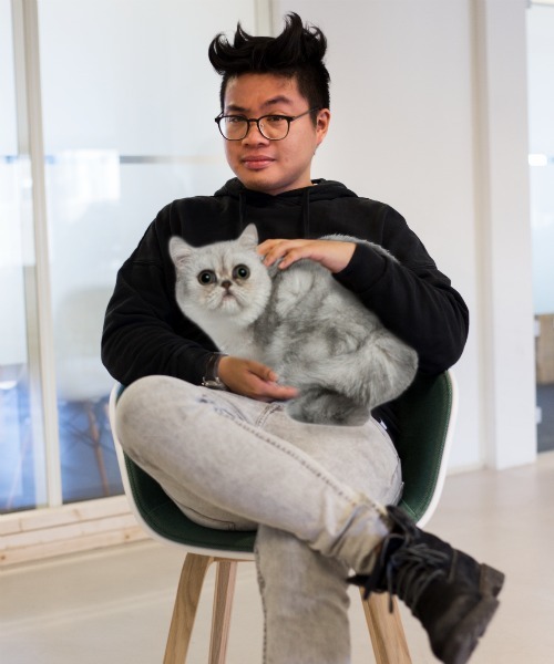 Dylan cat.jpg