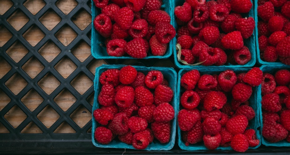fruit fruit